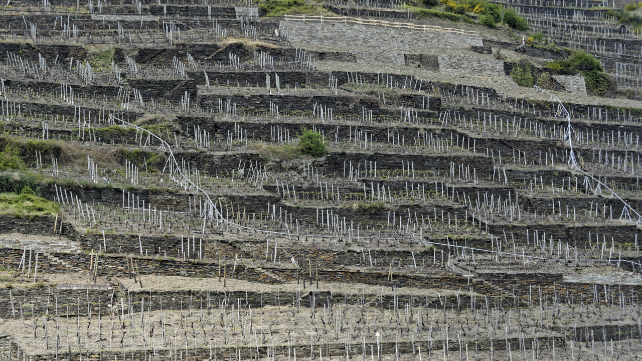 20170503  3696  Dernau, RheinlandPfalz, Germany